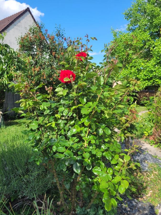 Cosy Room + Breakfast 20 Mn From Epernay Blancs-Coteaux Εξωτερικό φωτογραφία